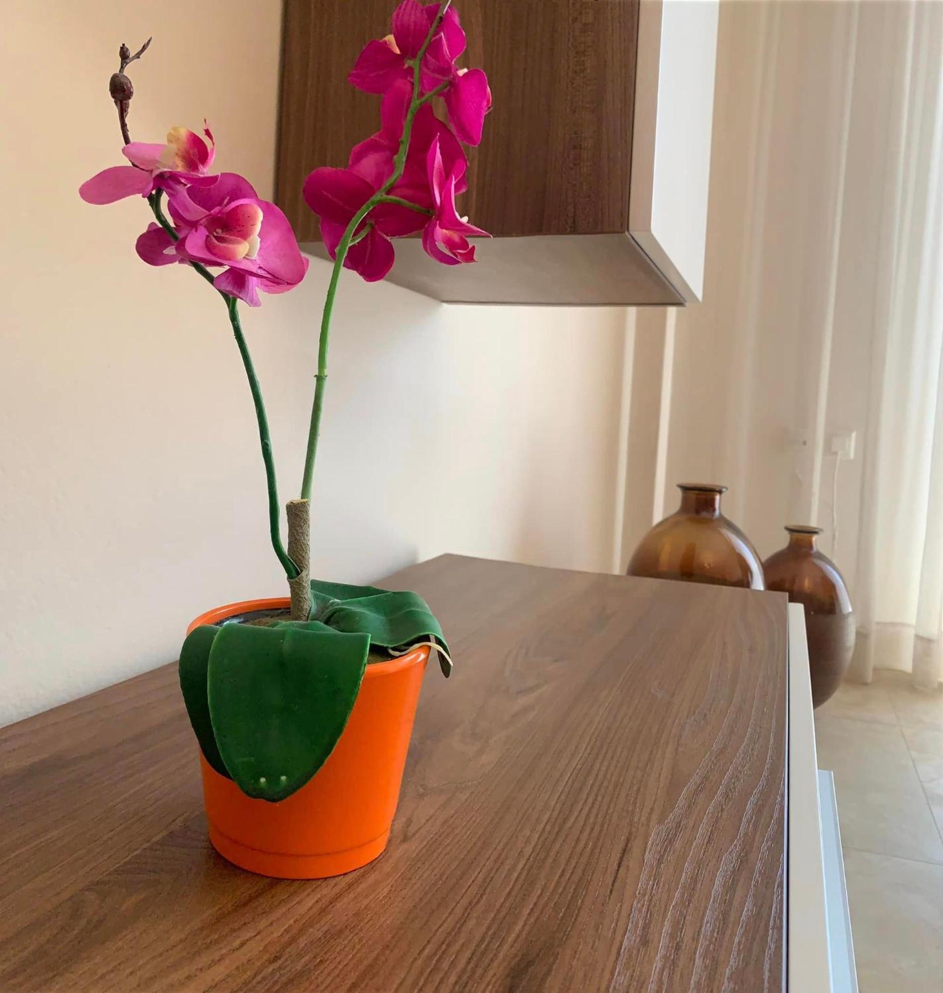 Ferienwohnung Αpartments Anna Deluxe Kavala Exterior foto